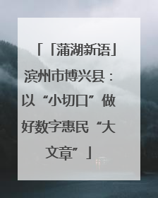 「蒲湖新语」滨州市博兴县：以“小切口”做好数字惠民“大文章”